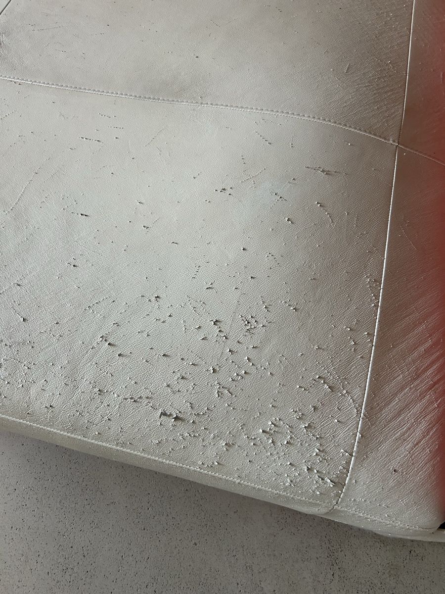 Divani: Echt Leder Sofa – Usato da Wolfhausen venduto da eil_jc5j 2