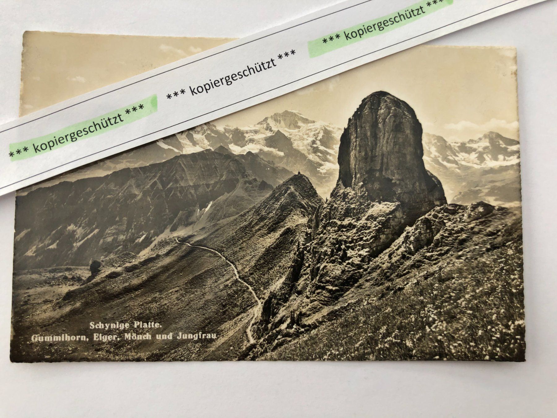 Cartoline postali: Schynige Platte mit Eiger alt AK – Usato da Hefenhofen venduto da Bierinder