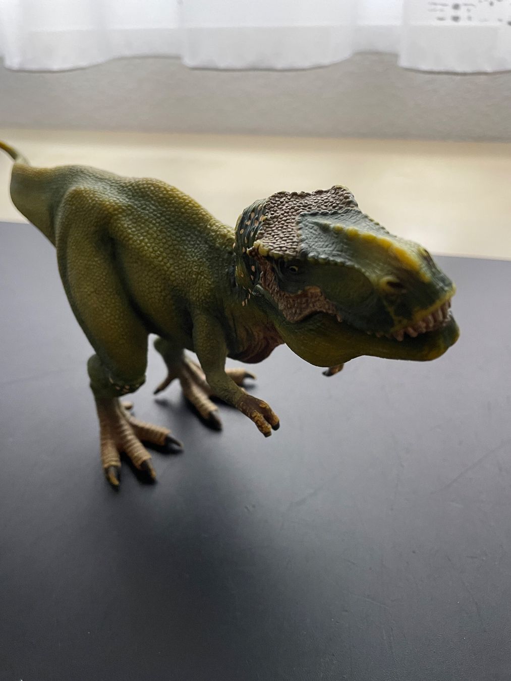 Schleich Giocattoli: Schleich T-Rex – Usato da Leibstadt venduto da Dany603