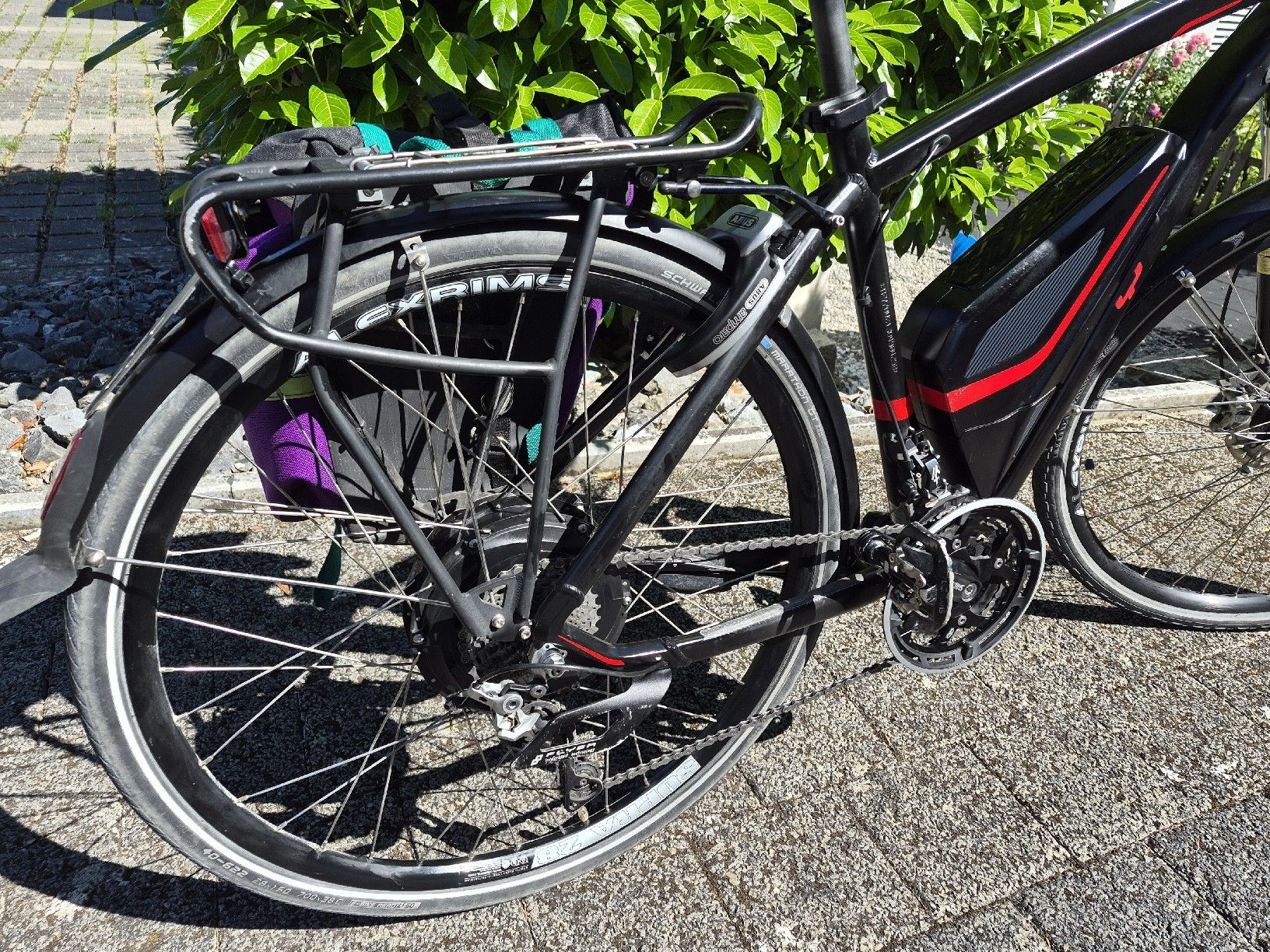 Flyer Biciclette: Flyer Vollblut 45km/h – Usato da Eglisau venduto da Sauri 5