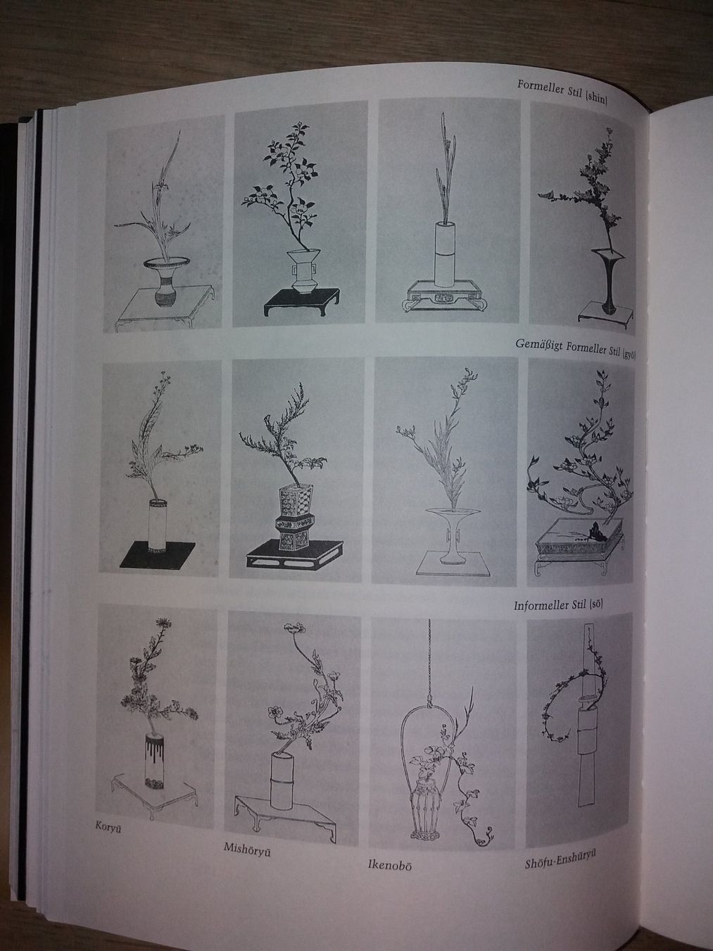 Libri: FASZINATION Ikebana japan – Usato da Welschenrohr venduto da Regool 8