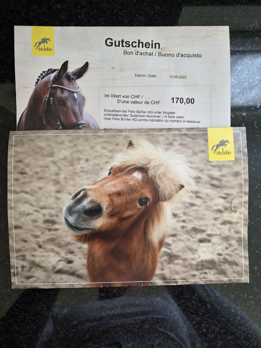 Felix Bühler Gutscheine: Felix Bühler Gutschein 170 - – Neu und originalverpackt aus Birr von Daria_secondhand