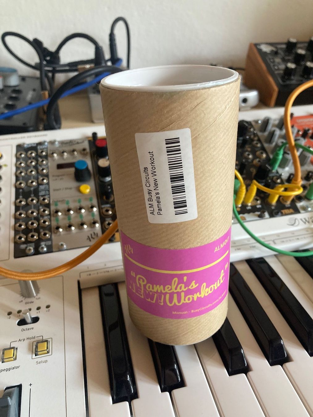 Strumenti musicali: Pamela's NEW Workout – Usato da Olten venduto da chrisdubonheur 1