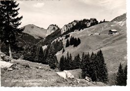 Gasthaus Tannenbühl ob Beckenried