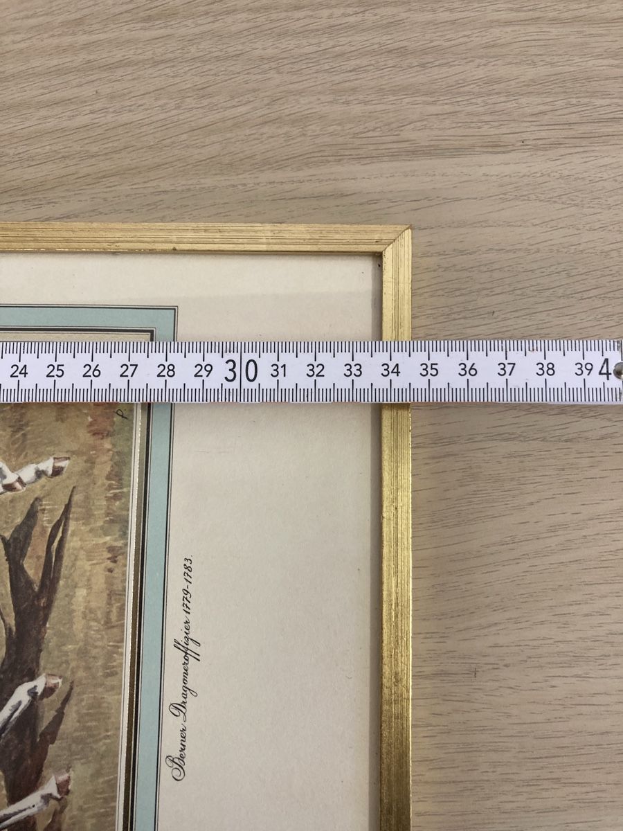 Foto & Immagini: Bild Berner Dragoneroffizier 1779-1783 – Usato da Aarwangen venduto da to-hirschi 8