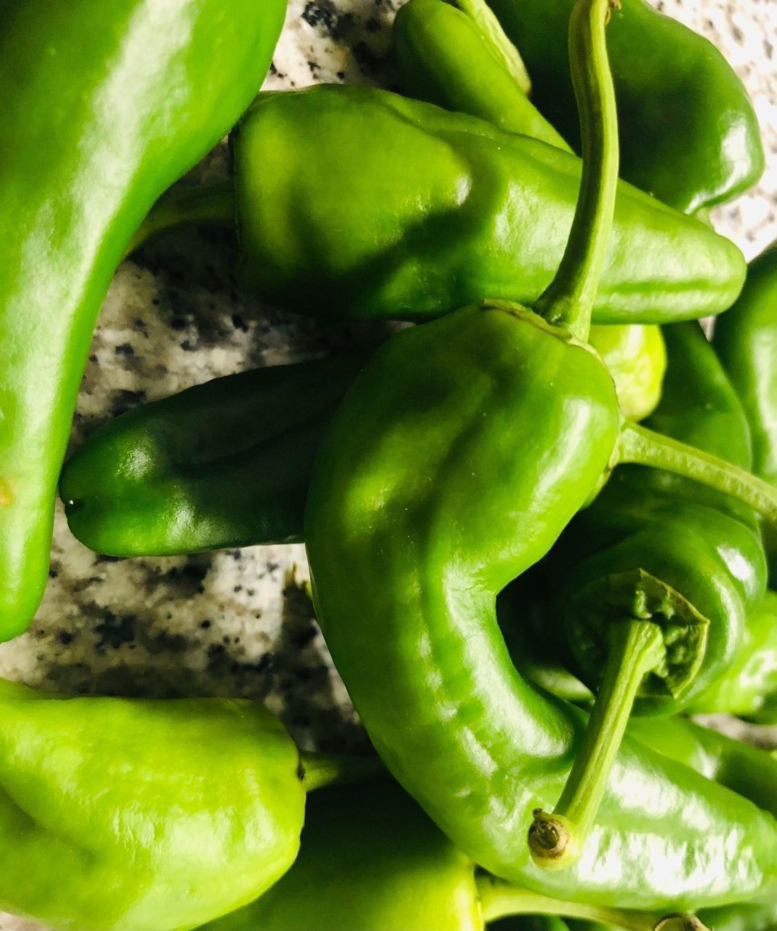 Pflanzen & Samen: 100 SAMEN GRAINES‪ SEMI "Pimiento del Padron" – Neu und originalverpackt aus Rovio von POSITIFFARTandPLANTS 3