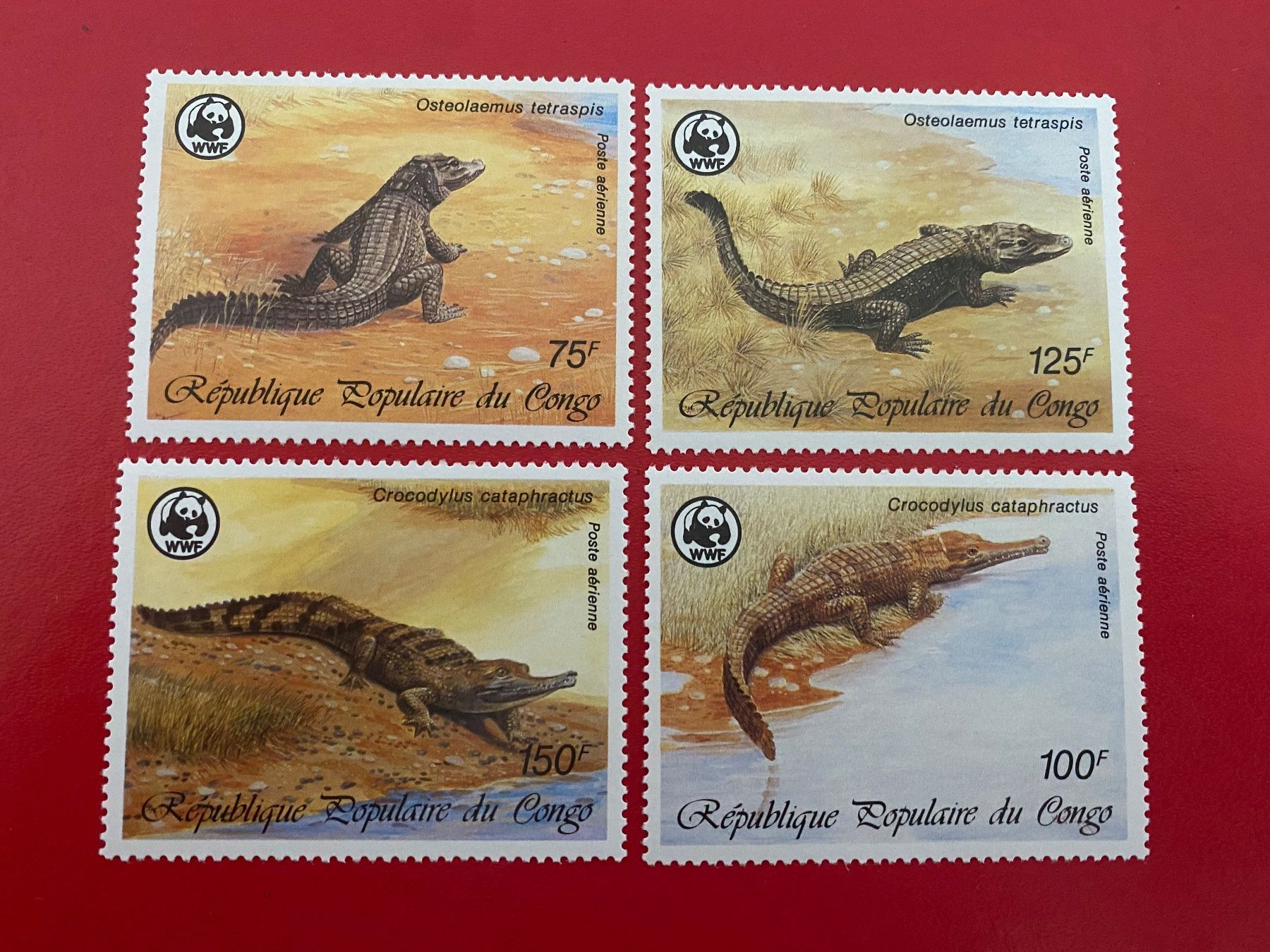 Alle Briefmarken: Timbres - Congo – Neu (gemäss Beschreibung) aus Petit-Lancy von Solcarm