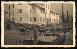 Campovasto, Dorfpartie mit Brunnen u. Sc