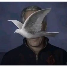 Profile image of Lamez
