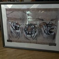 Rolf Knie Tiger Bild signiert & nummeriert  gerahmt