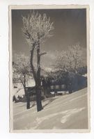 GSTAAD l'hiver