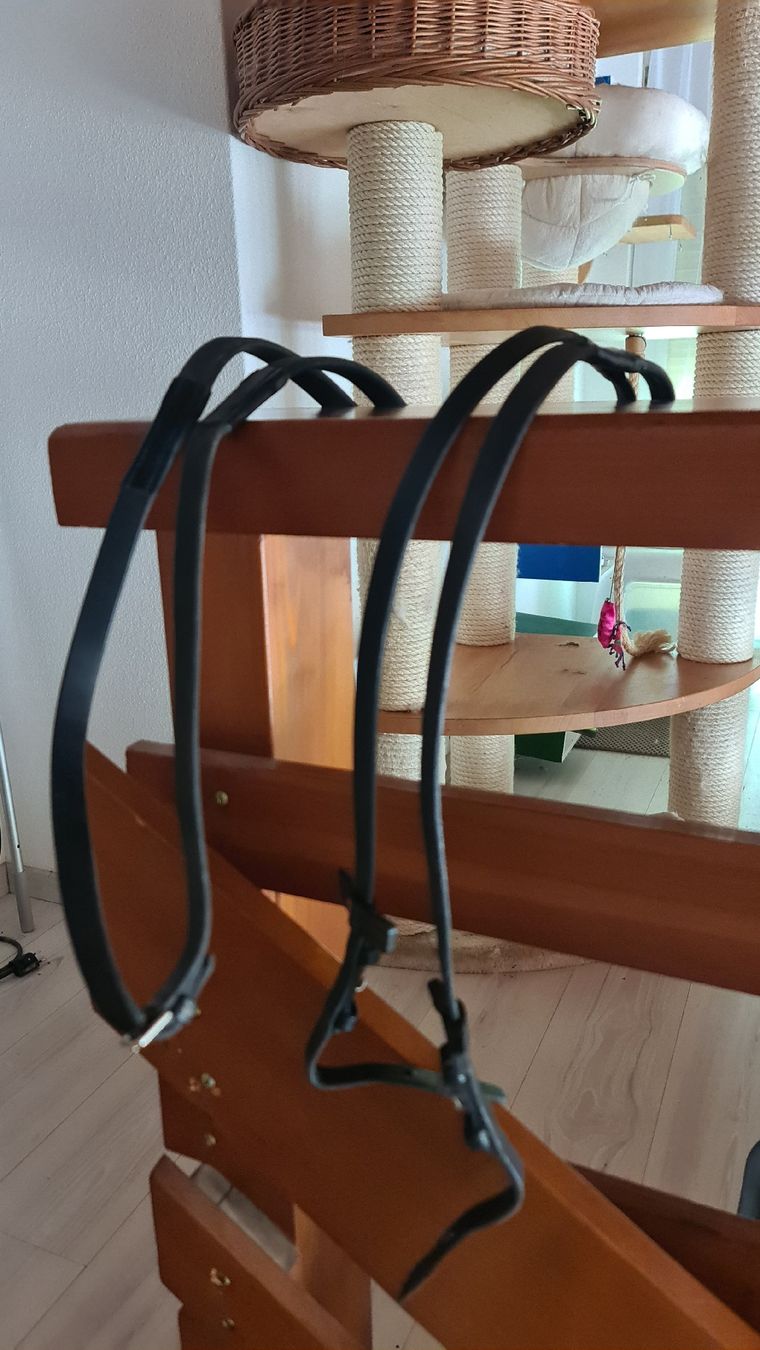Selle & Accessori: Stübben Gummizügel – Usato da Münchenstein venduto da Mageira