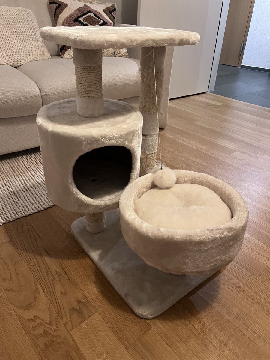 Tiragraffi: Katzenbaum Beige – Usato da Wädenswil venduto da laurakm 1