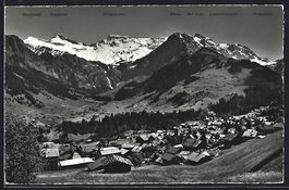 Adelboden, Teilansicht mit Boden, Wildst