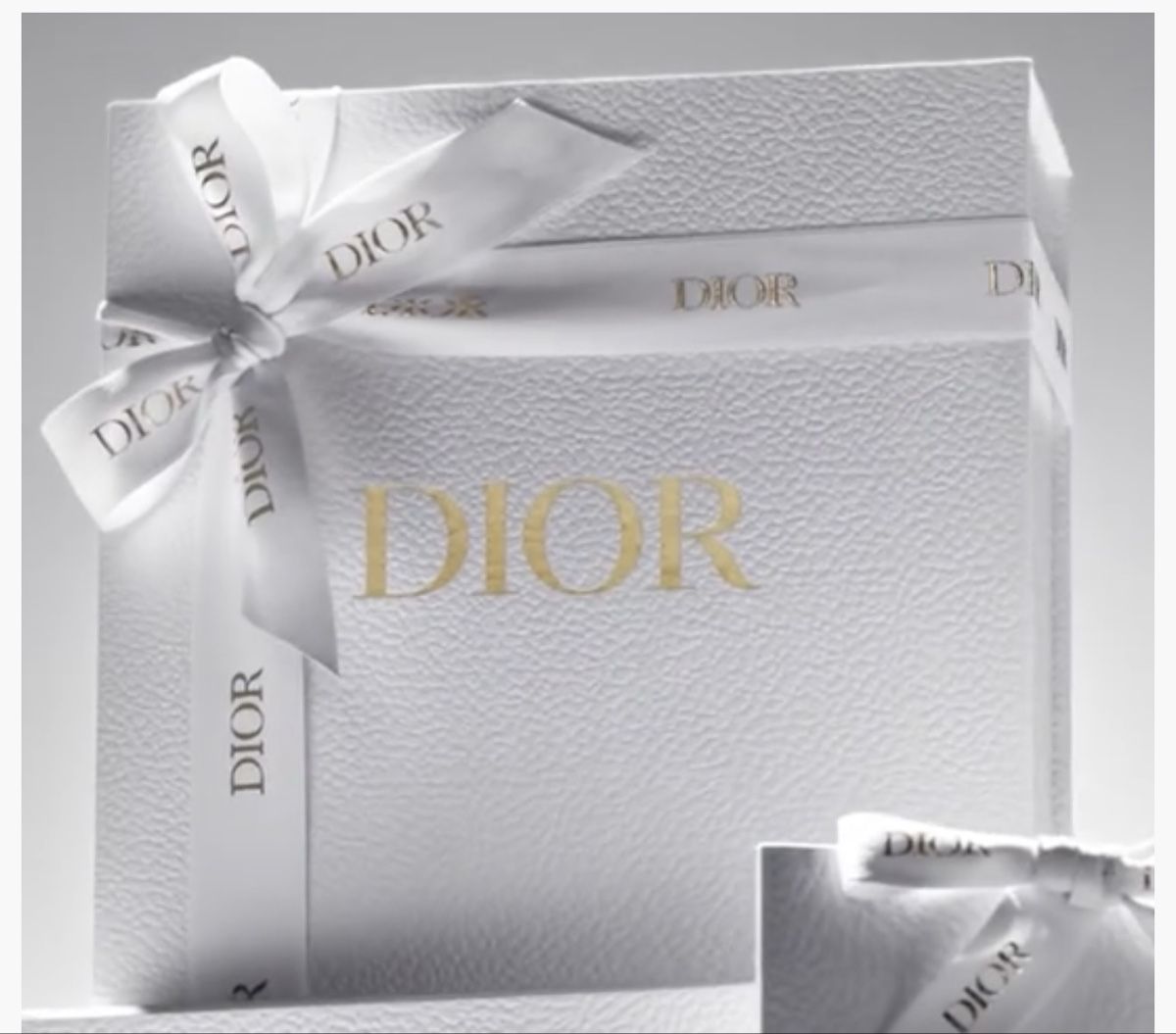Altro in Decorazioni & Accessori: Dior Couture Coffret AOG Large – Nuovo e nell'imballaggio originale da Luzern venduto da sas_r89l