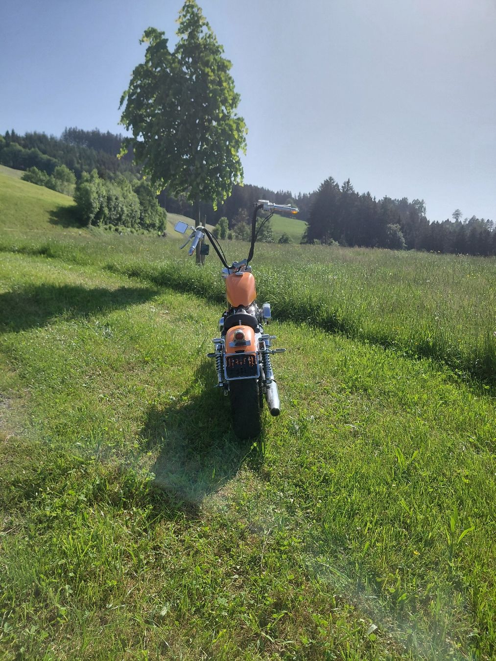 Harley-Davidson Chopper: Harley davidson XL 1200 neu ab Mfk – Usato da Heiden venduto da jan_2yvv 4