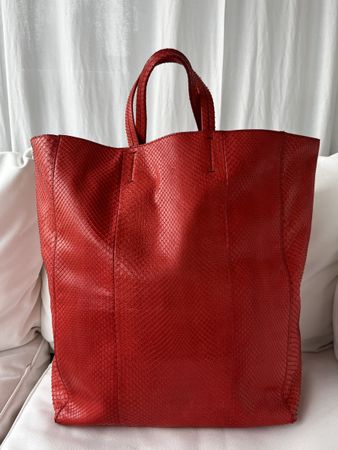 Céline „Cabas“ Python rot