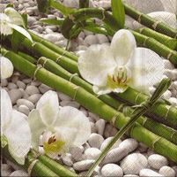 2 Servietten   Orchideen auf Bambus II