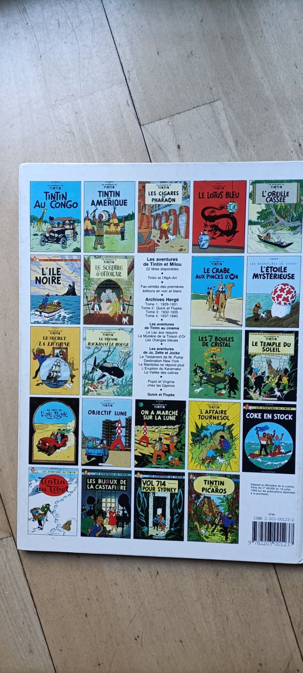 Fumetti: Comic Tintin et les Picaros Hergé Casterman – Usato da Winterthur venduto da gwli 3