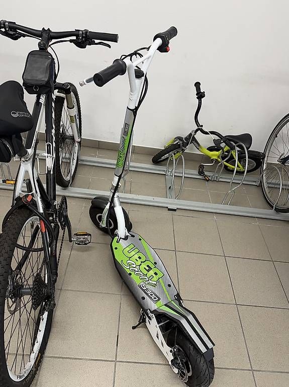 Kickboard: Monopattino elettrico  – D'occasion à Bellinzona par ann_8yxn