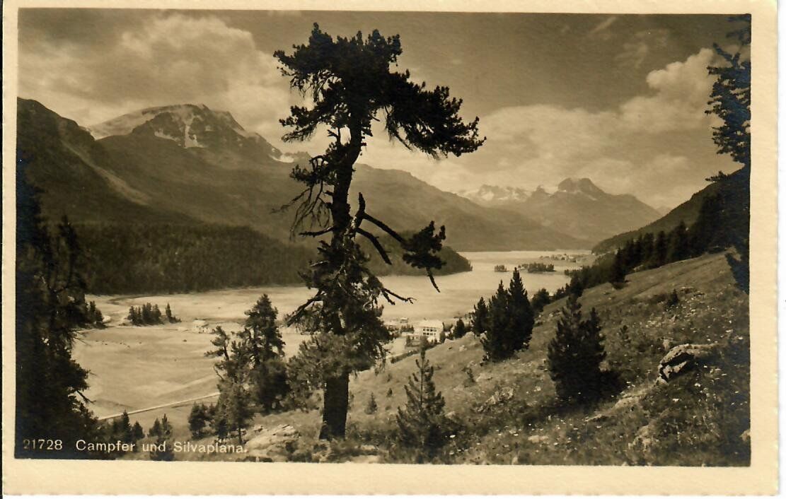 Cartoline postali: Campfer und Silvaplana – Usato da Hochdorf venduto da Ziegel-16