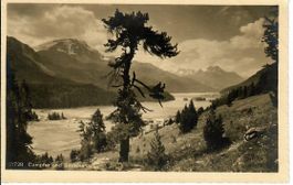 Campfer und Silvaplana