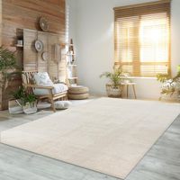 SPEZIALPREIS 🔥🔥🔥Teppich Super Soft 120x170 NEU