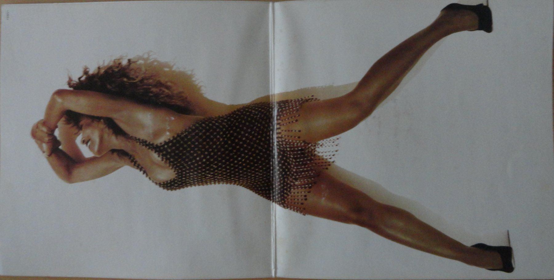 Dischi in vinile: TINA TURNER - Foreign Affair – Usato da Neftenbach venduto da Verk13 2