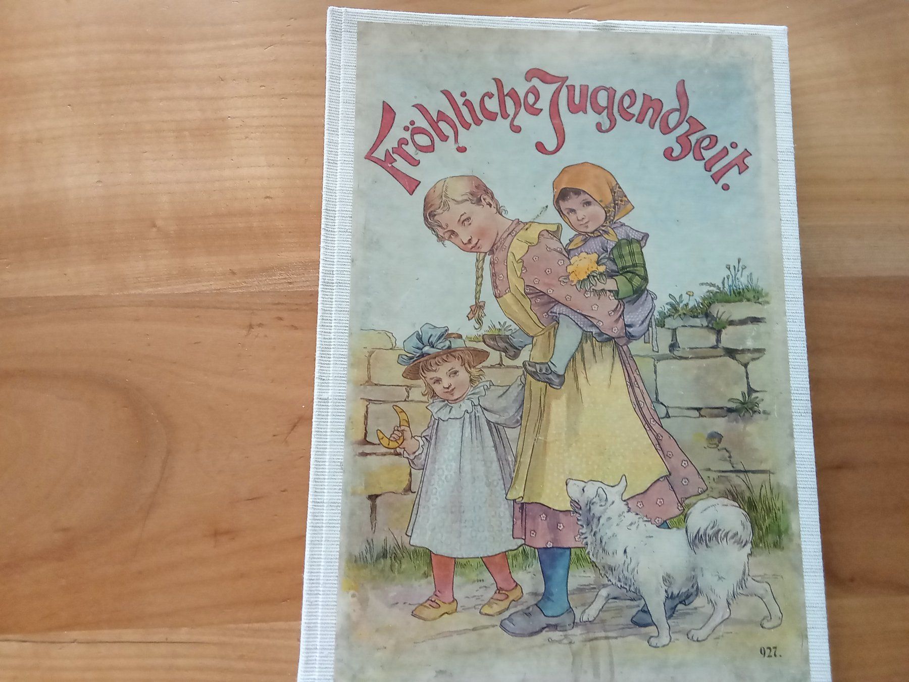 Libri: FRÖHLICHE JUGENDZEIT – Usato da Muri BE venduto da Alk