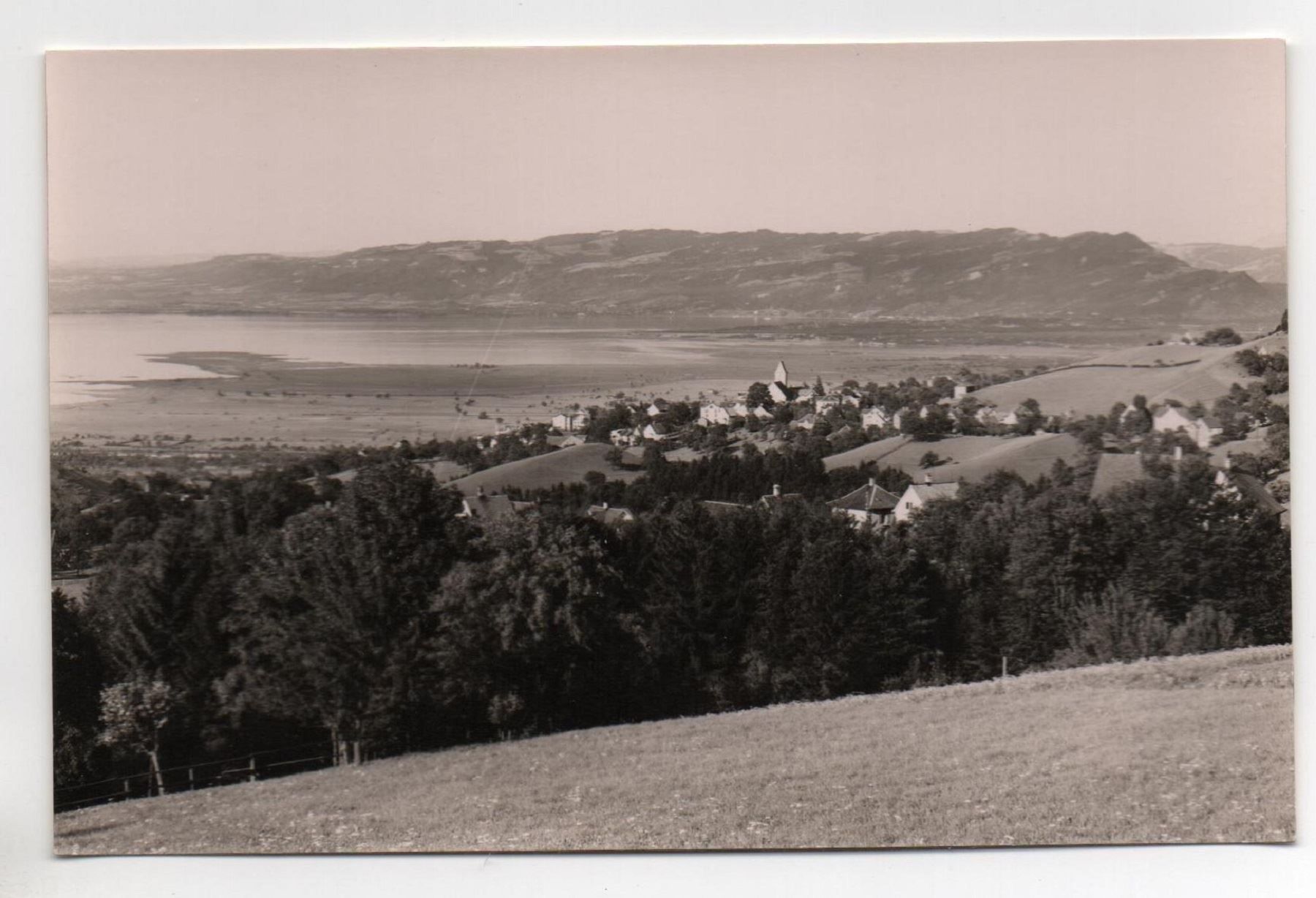 Cartoline postali: HEIDEN Blick auf's Rheintal – Nuovo (secondo la descrizione) da Jona venduto da philajona