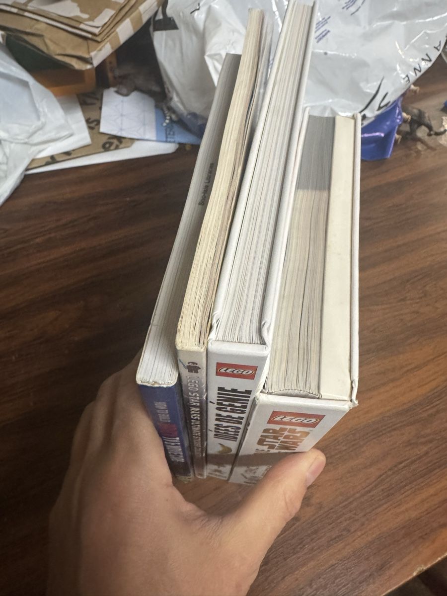 Libri: Lot de 4 livres Lego – Usato da Lausanne venduto da Michel_Ozcan 5