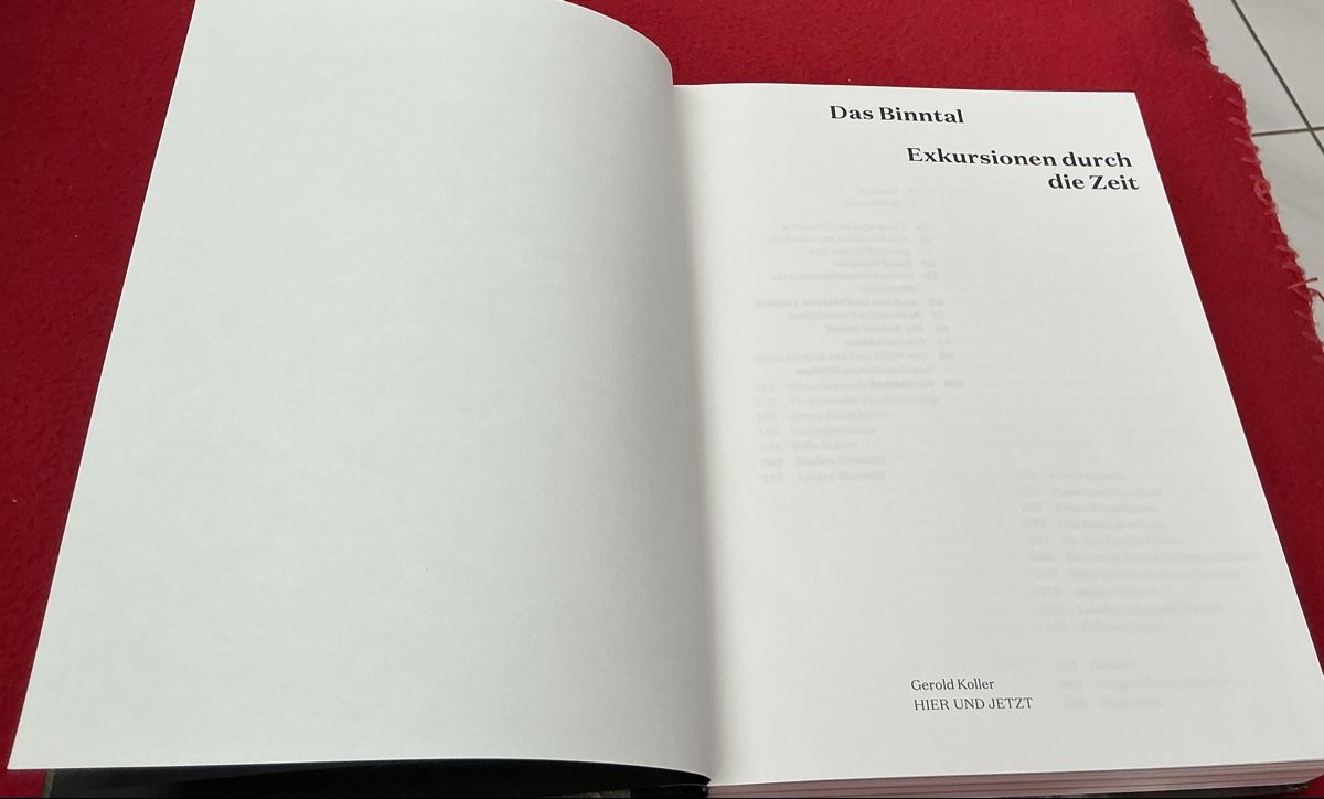 Libri: Das Binntal Exkursionen durch die Zeit - Gerold Koller – Usato da Crans-Montana venduto da plainemorte 1