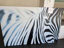 Zebrabild 