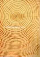 JAHRBUCH 2004 ORIGINAL ** POSTFRISCH **