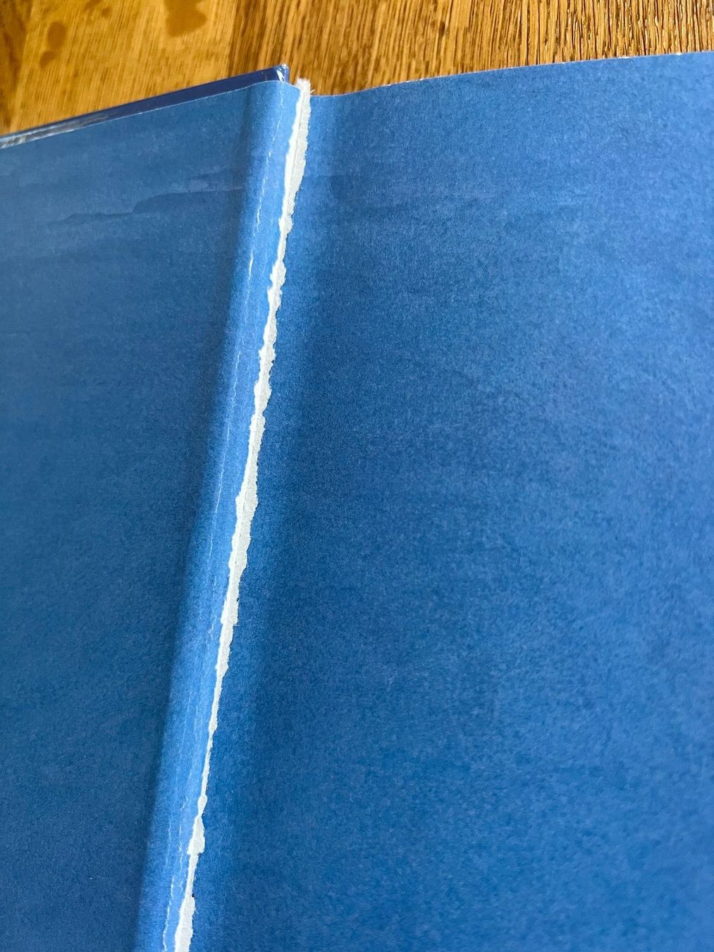 Libri: Leselöwen Buch für Kinder – Usato da Zürich venduto da efae 2
