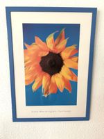 Sonnenblumen Bild - Sommerfeeling für die Wohnung!