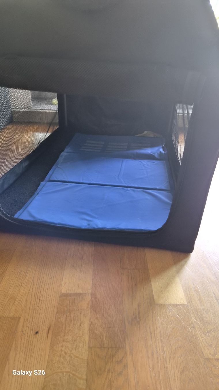 Niches, paniers: Hunde Box  – D'occasion à Oberglatt ZH par nat_c6k7 1