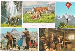 Berner Oberland, 5-Bilder-AK