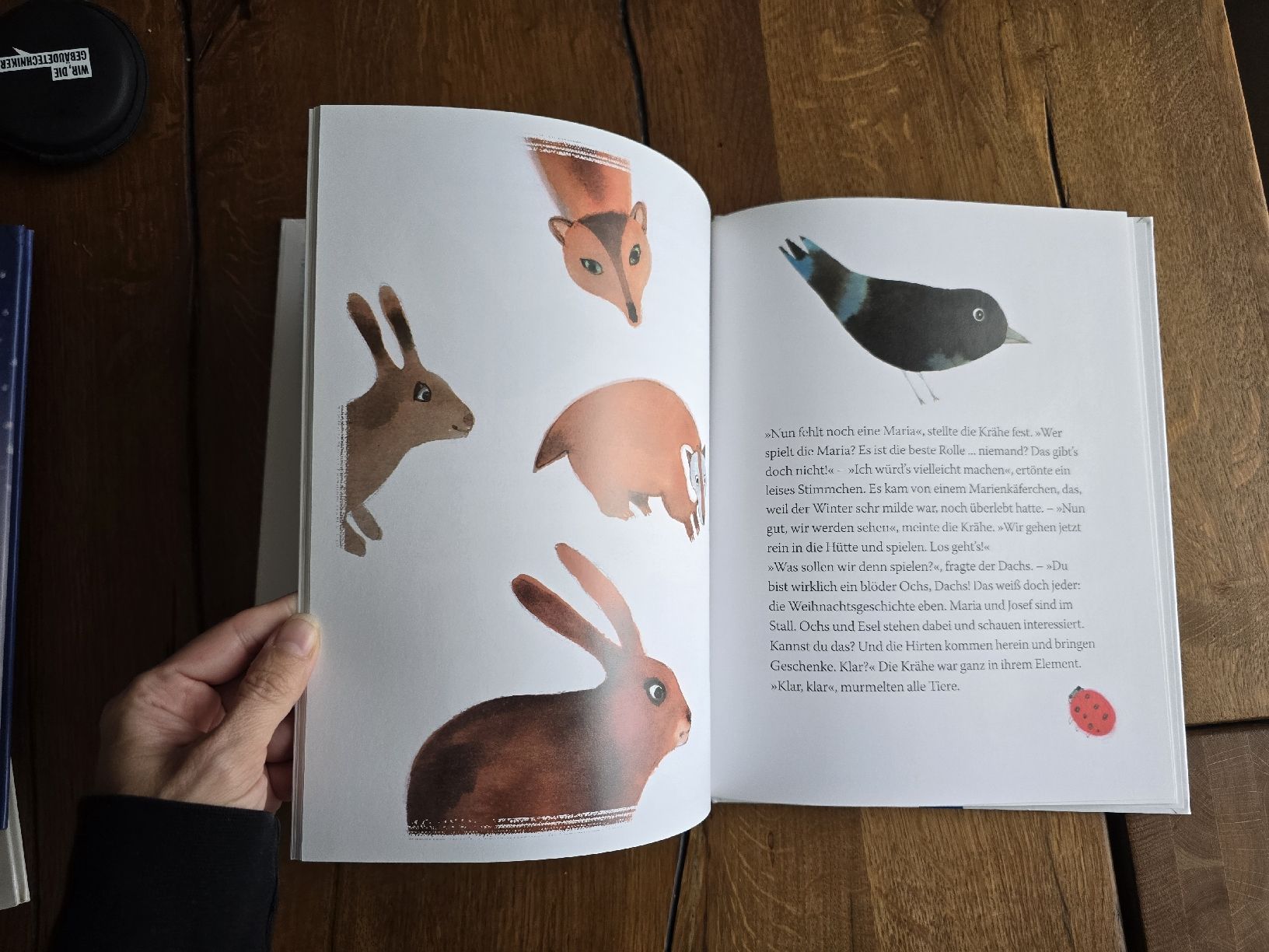 Bücher: Kinderbuch Der Weihnachtsräuber von Martin Schmid  – Gebraucht aus Wittenbach von Tigerlili 8