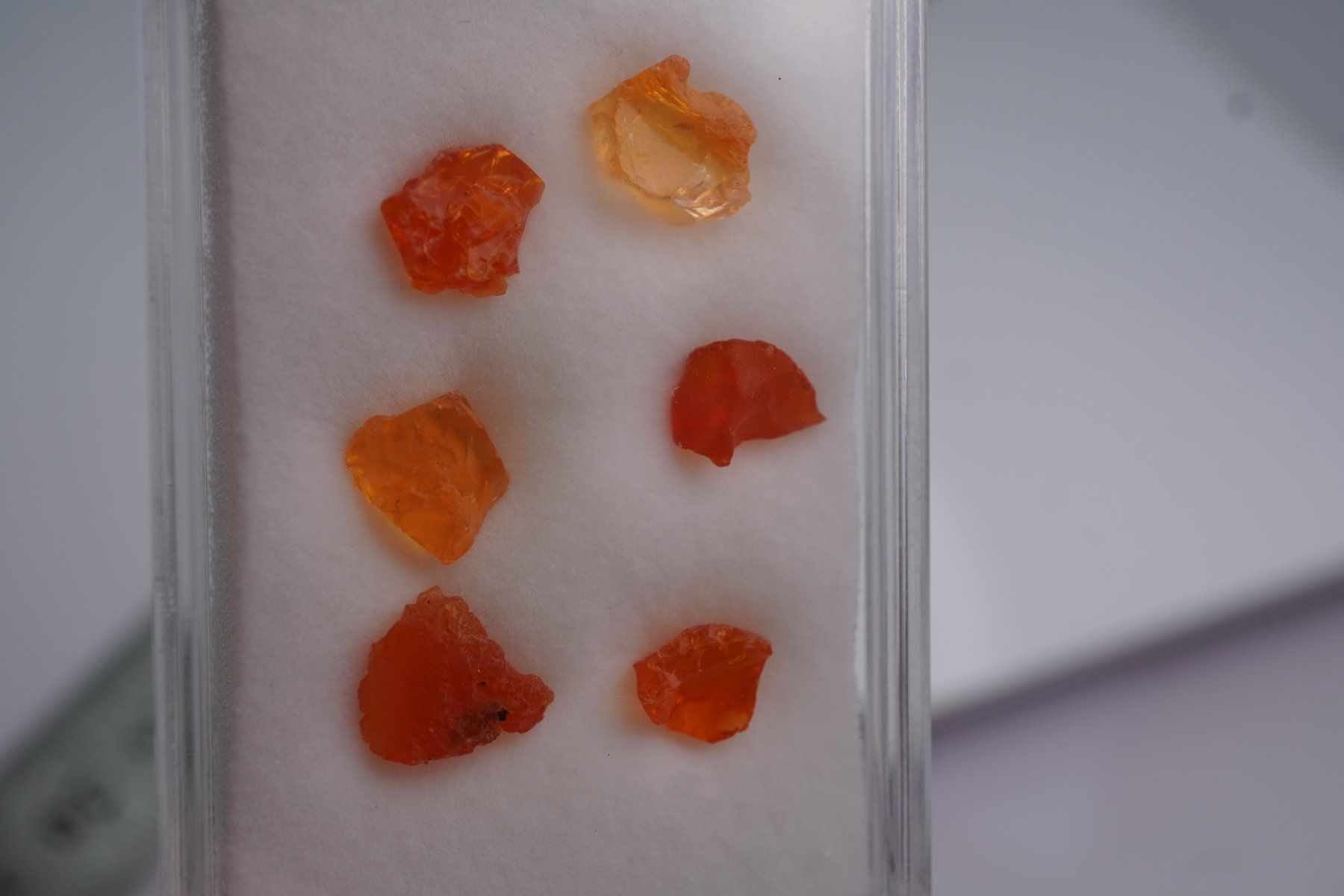 Minerali & Pietre curative: Feuer opal Mexico  Roh       im Böxli no2 – Nuovo e nell'imballaggio originale da Eschenbach SG venduto da topstone 4
