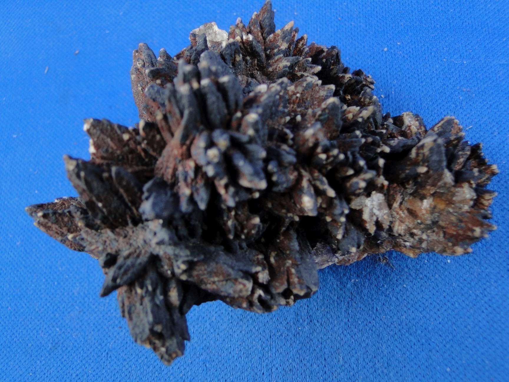 Minerali & Pietre curative: Chalcocite psm Calcit mit Malachit – Usato da Schinznach Bad venduto da Demerald 9