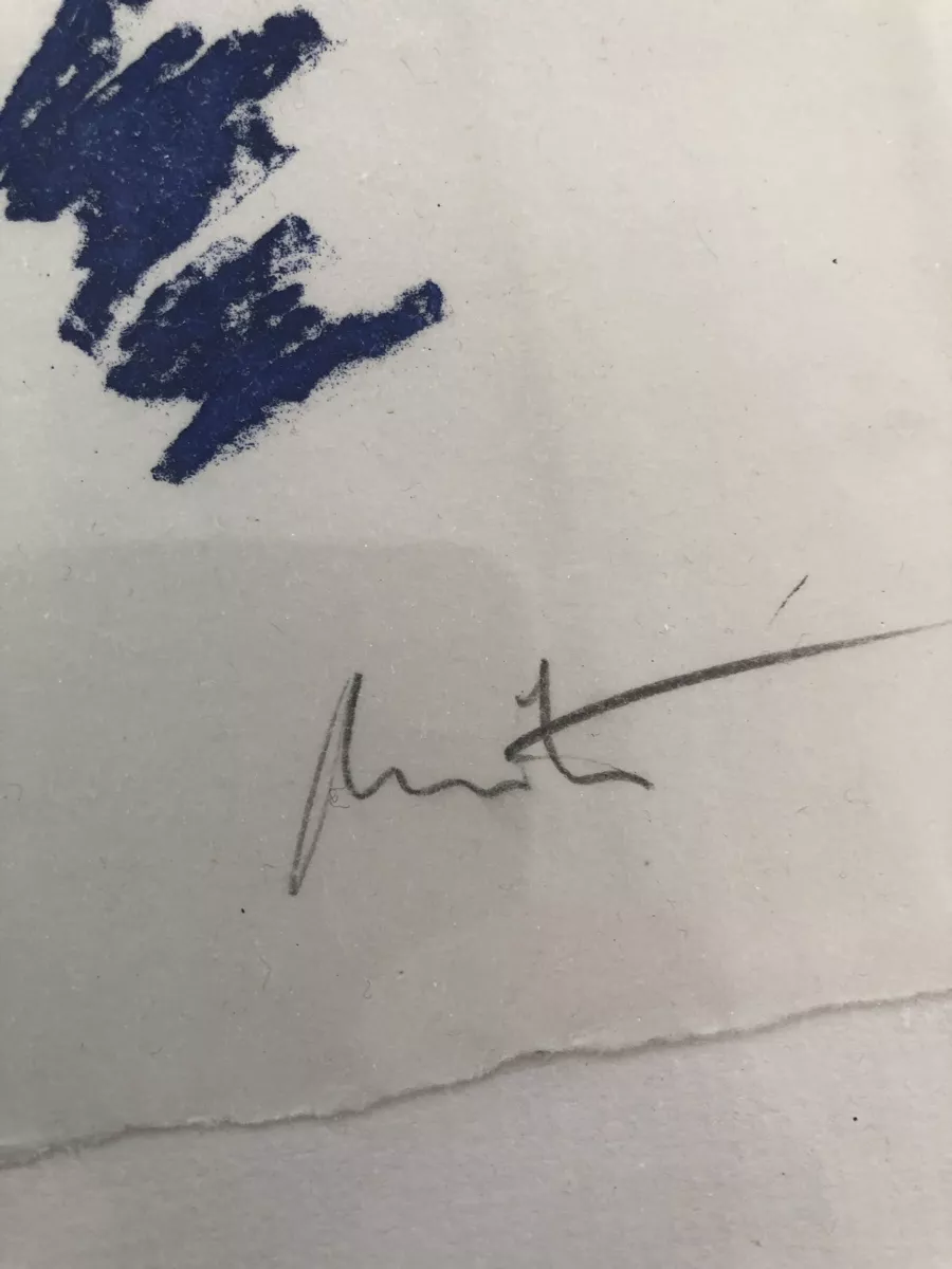 Grafiken & Lithographien: Lithographie – Neu (gemäss Beschreibung) aus Schmitten FR von Moscasto 1