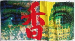RAR Fabric Frontline Seiden Schal Tuch Stola PTT Roger Pfund