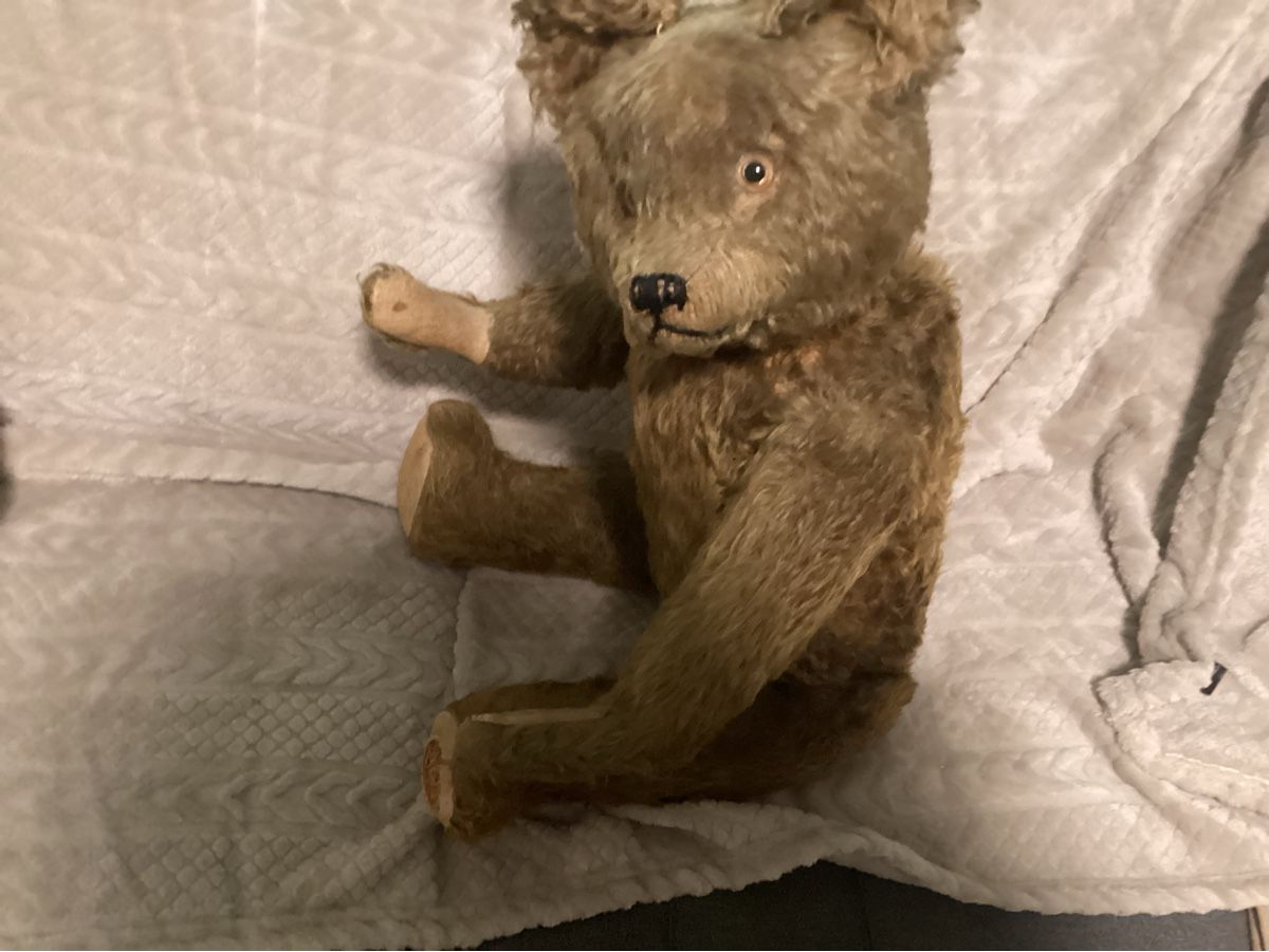 Steiff Giocattoli: ANTIKER TEDDY STEIFF? – Usato da Münchenstein venduto da NoSu98 4