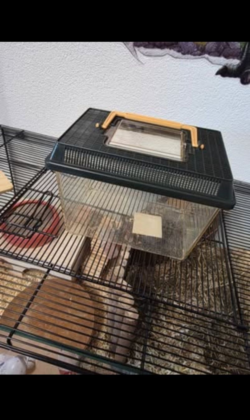 Gabbie, trasporto & Sicurezza: Hamsterkäfig mit Zubehör gebraucht – Usato da Glattpark(Opfikon) venduto da dra_lw2t 6