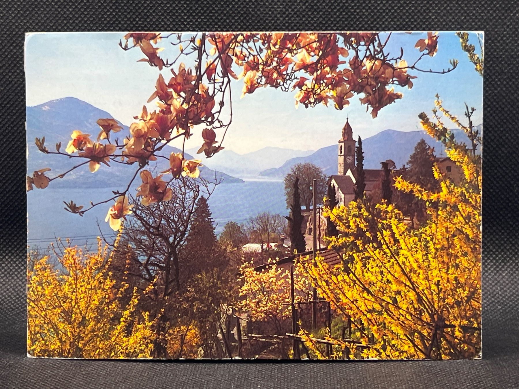 Cartoline postali: Ronco – Usato da Widnau venduto da Brusi9