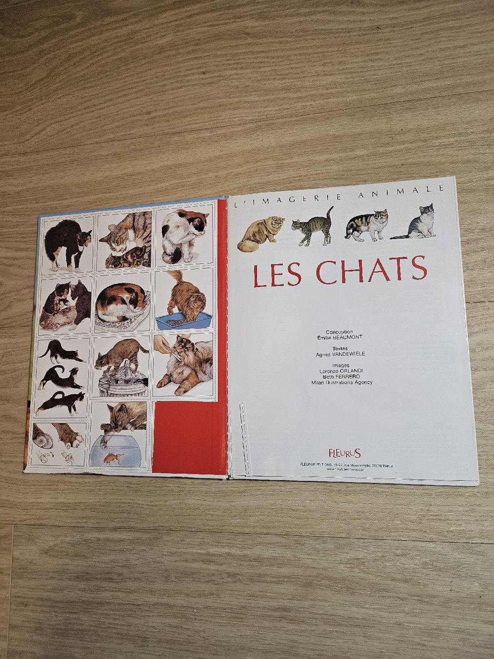 Bücher: Livre "Les Chats" Imagerie Animale Fleurus – Gebraucht aus La Joux FR von car_ck96 1