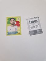 Panini Sticker IRN19