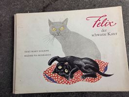 Felix der schwarze Kater
