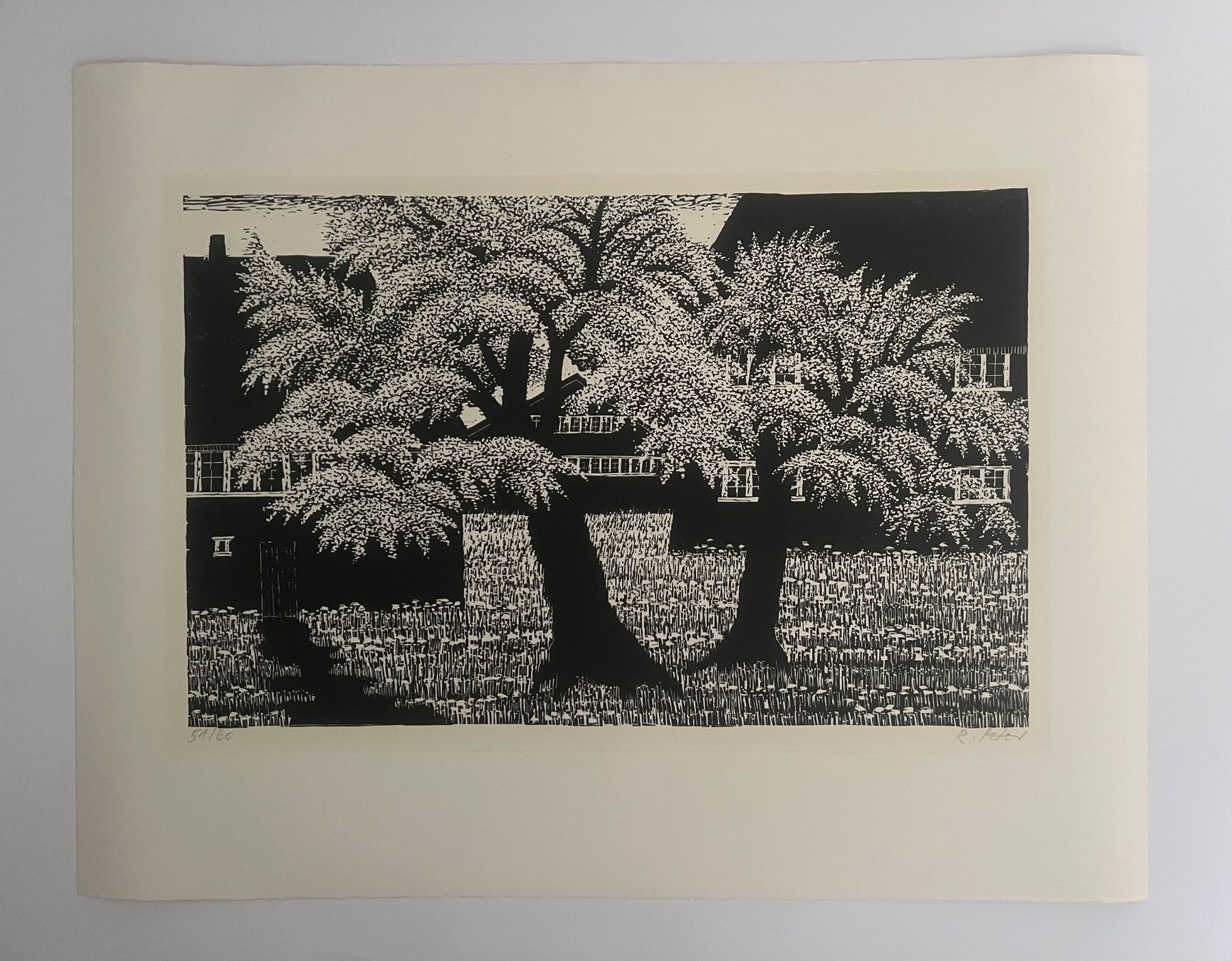 Arts picturaux & lithographies: Ruedi Peter, handsigniert und nummeriert – D'occasion à Rain par Pic-Ass 1